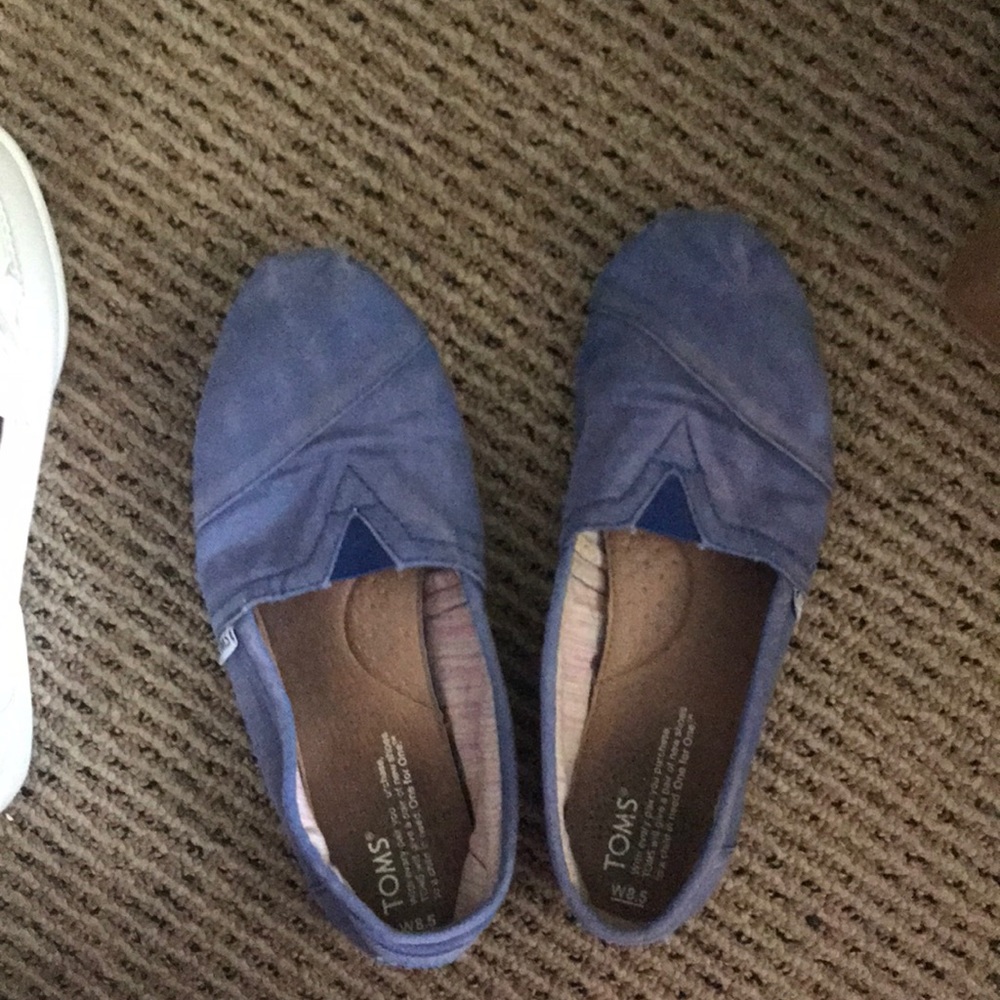 Blue Toms shoes